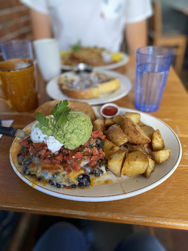 Blue Fox Cafe - Hospitality and gastronomy