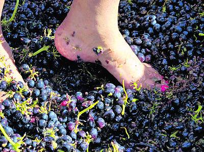 Vintner's Cellar Brantford - Hospitality and gastronomy