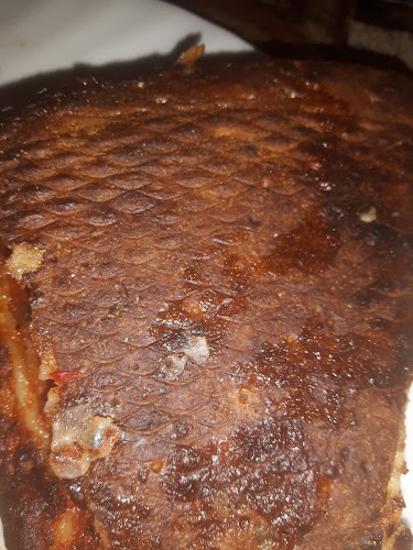 Papas Pizzaland - Hospitality and gastronomy