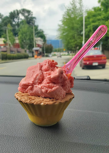 2615 Mary Hill Rd, Port Coquitlam, BC V3C 3A9