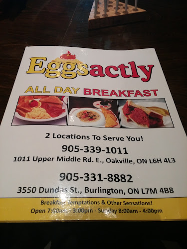 Eggsactly Breakfast And Lunch - Hospitality and gastronomy