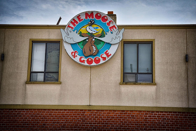 Comentarii opinii despre The Moose & Goose