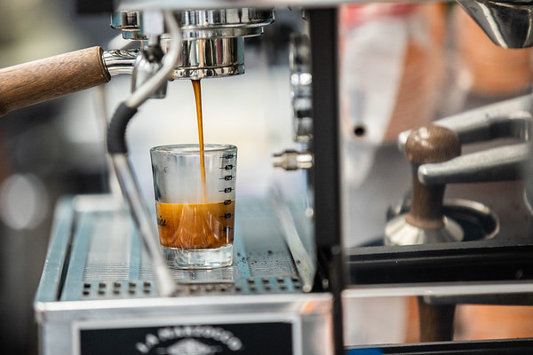 Petals Paws and Beans