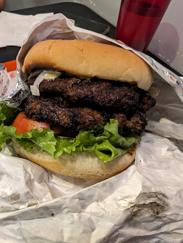 The Burnt Tongue - Hamilton