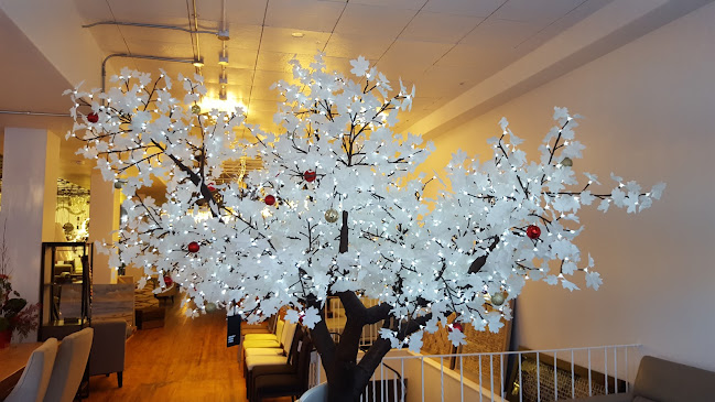 Comentarii opinii despre O & O Coffee