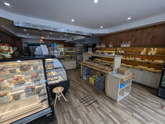 Comentarii opinii despre ibake