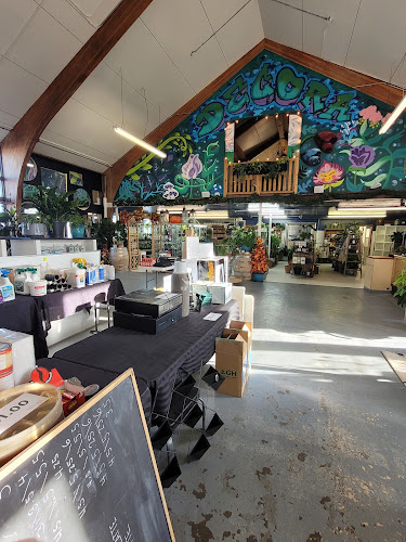 The Cozy Cafe & Bakery - Hospitality and gastronomy