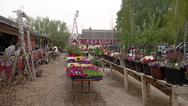 The Berry Barn - Saskatoon