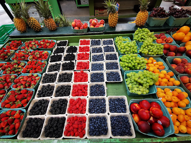 Comentarii opinii despre G J Farm