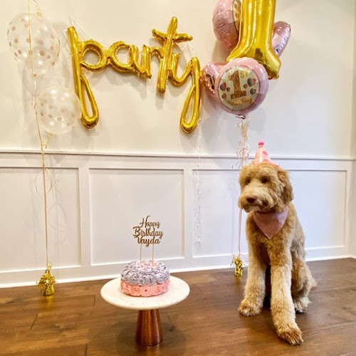 Opinii despre Woofalicious Bakery în Brampton - Hospitality and gastronomy