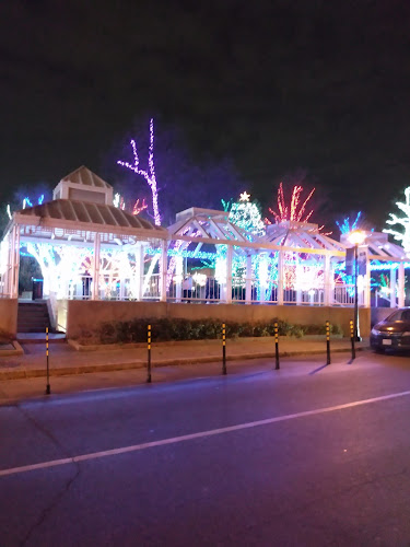 Opinii despre Dum Dums Sports Bar în Brampton - Hospitality and gastronomy