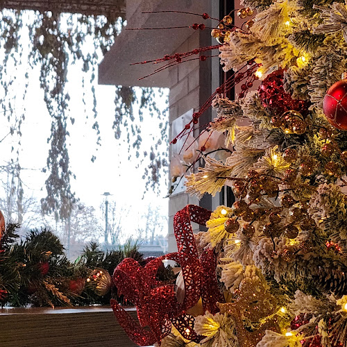 Comentarii opinii despre Perc's Place