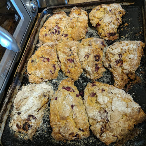 204 Main St, Ottawa, ON K1S 0G4