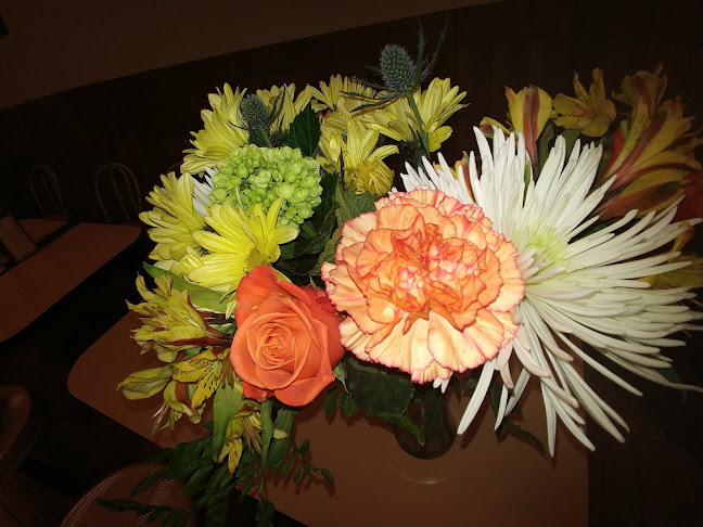 501 Krug St, Kitchener, ON N2B 1L3