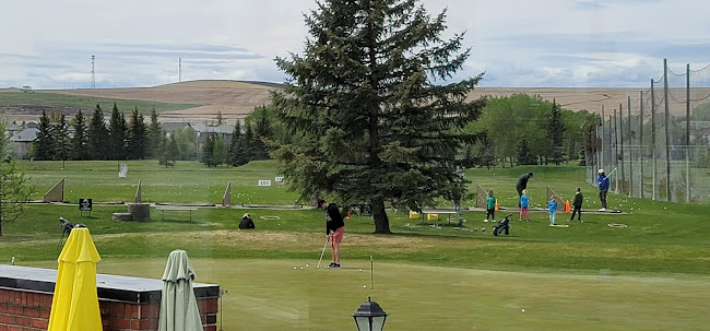 Woods - Hospitality and gastronomy