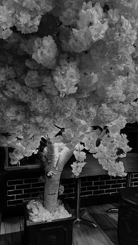 India King - Hospitality and gastronomy