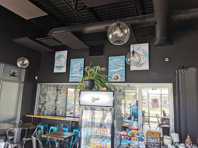 The Purrfect Cup - A Cat Cafe - Fredericton