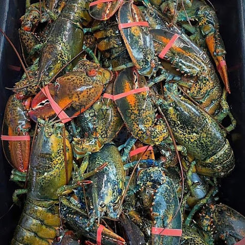 Taylor's Fish Fruit & Vegetable Market - Hospitality and gastronomy