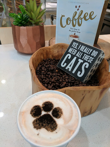 Cat Cafe on Whyte - Hospitality and gastronomy