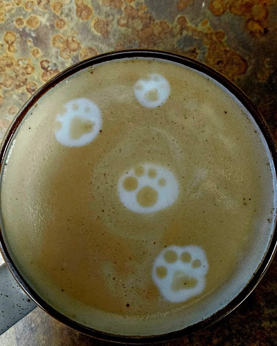 Comentarii opinii despre Petals Paws and Beans