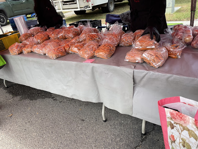 5 St Anne St, St. Albert, AB T8N 3Z9