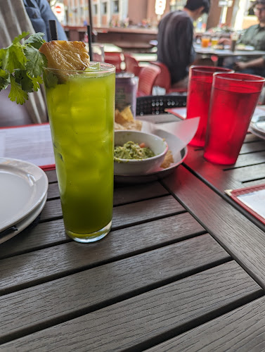 El Camino - Hospitality and gastronomy