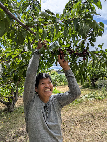 3630 Elliott Rd, West Kelowna, BC V4T 1N9