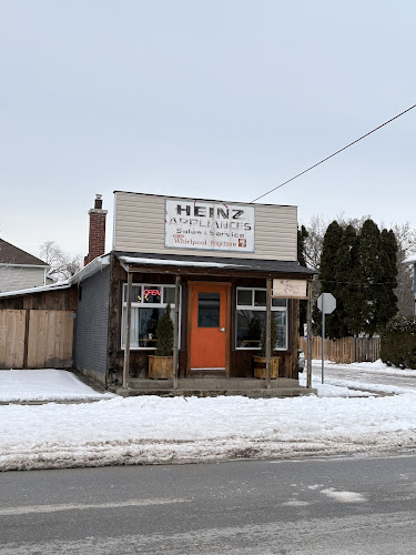 Comentarii opinii despre The Tangerine Tortoise