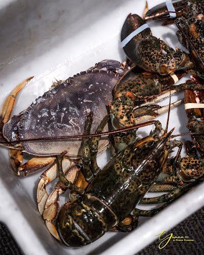 Fishman Lobster Clubhouse Restaurant - Toronto