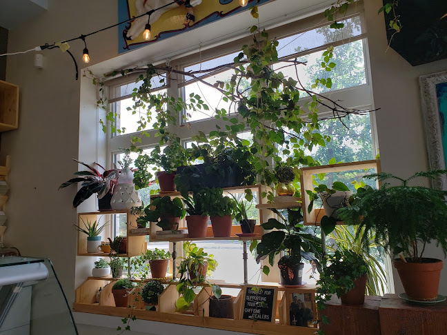 Comentarii opinii despre Naked Bean Espresso Bar and Cafe