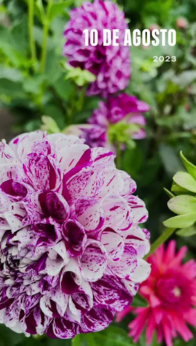 Comentarii opinii despre Resto Gare And Train Bar Bistro