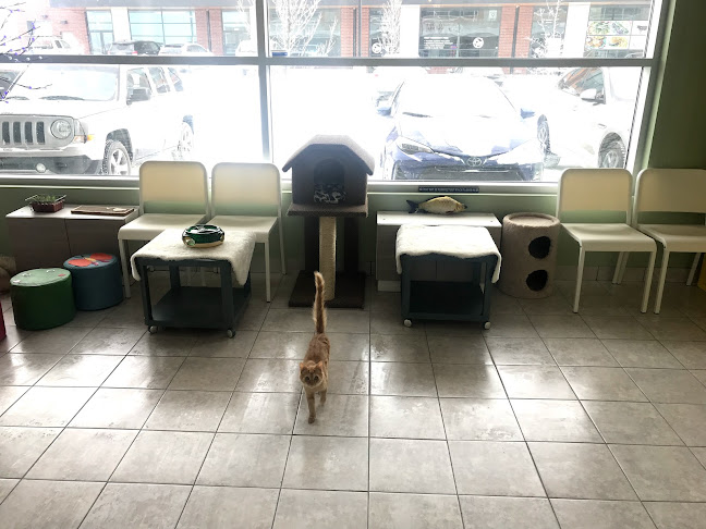 Cafe & Mi - Hospitality and gastronomy