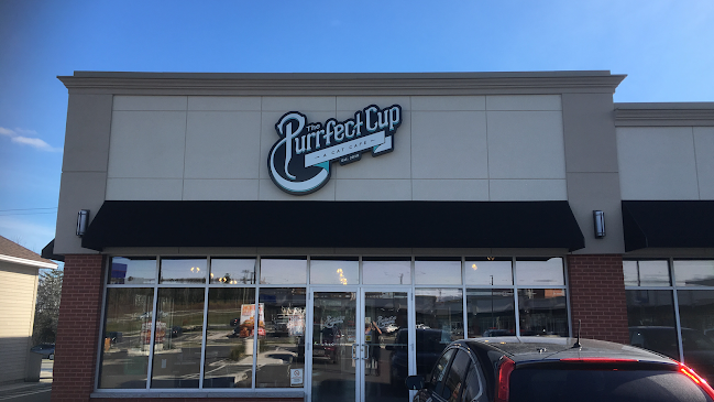 The Purrfect Cup - A Cat Cafe