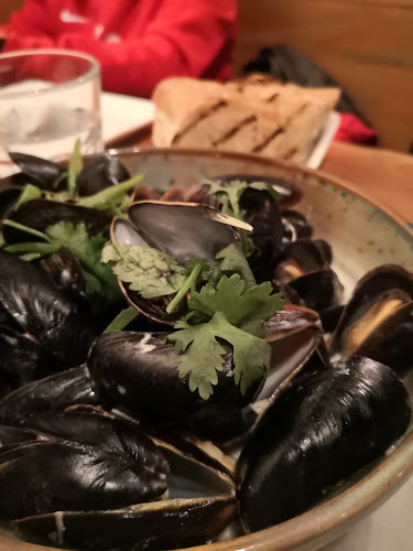 Comentarii opinii despre Pearl Diver