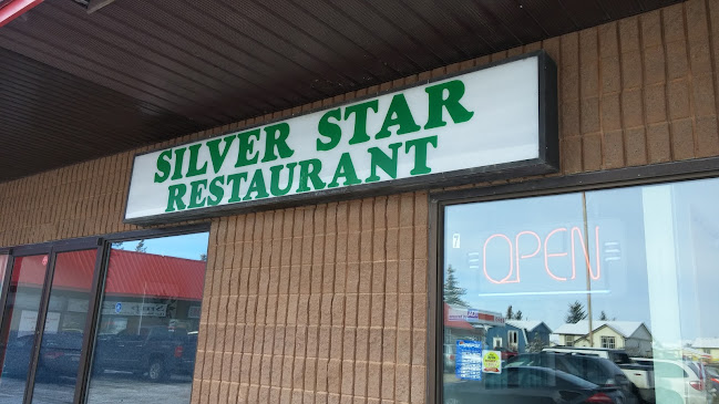 Comentarii opinii despre Silver Star Restaurant