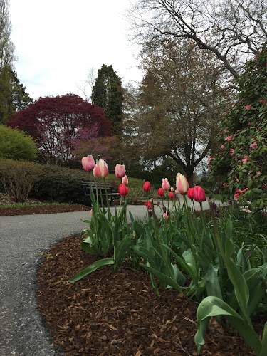 Opinii despre Encores Bistro în Burnaby - Hospitality and gastronomy