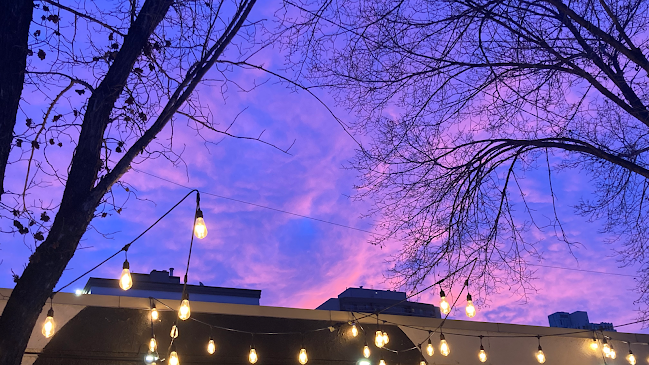 Opinii despre Loophole Coffee Bar în Calgary - Hospitality and gastronomy