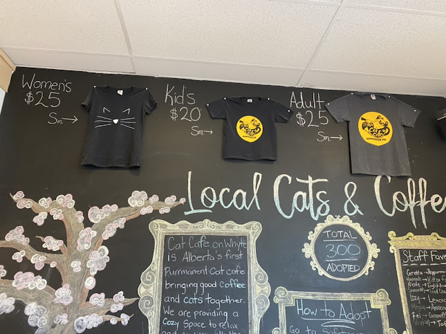 Comentarii opinii despre Cat Cafe on Whyte
