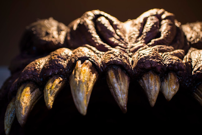 Storm Crow Alehouse - Hospitality and gastronomy