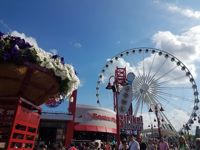 Funnel Cakes - Niagara Falls