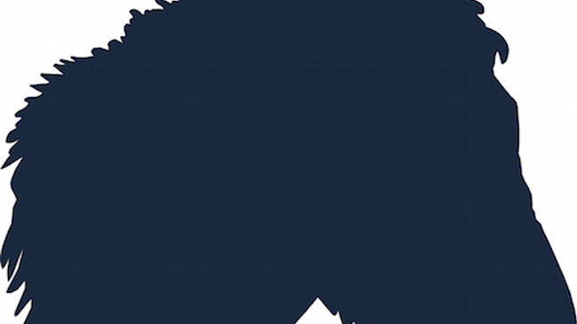 Opinii despre Mule Coffee în Peterborough - Hospitality and gastronomy