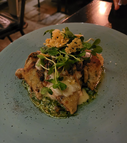 Comentarii opinii despre RASA