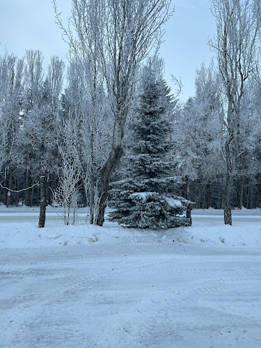 The Berry Barn - Saskatoon