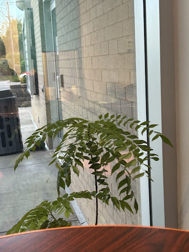 Comentarii opinii despre Kwanzaa Coffee House