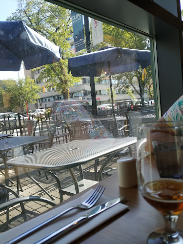 Capital Grill & Bar - Hospitality and gastronomy