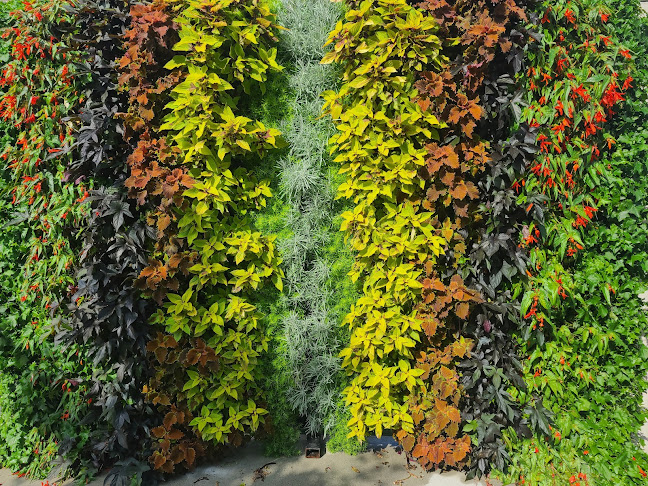 Comentarii opinii despre Belleville Farmers Market