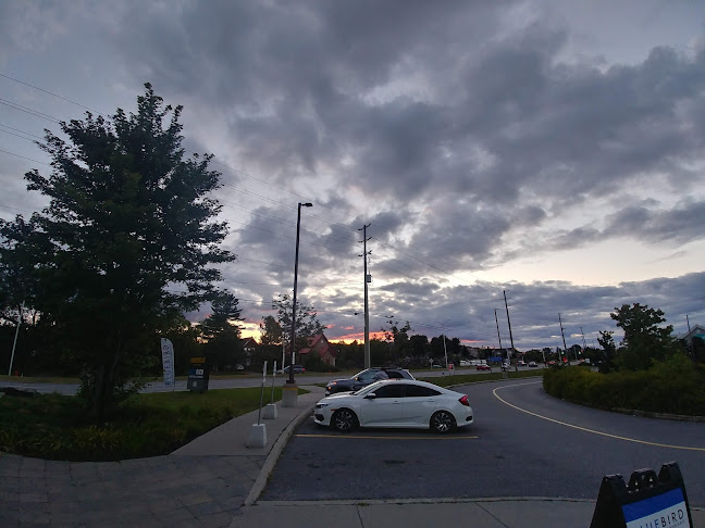 Comentarii opinii despre Farinella Kanata