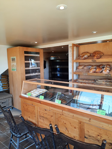 3 St Nicholas Ln, Torbay, NL A1K 1B3