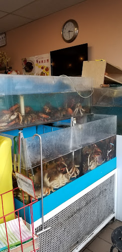 Opinii despre Lucky Joy Restaurant(Best Price on Website!) în Richmond - Hospitality and gastronomy