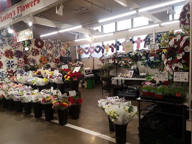 35 York Blvd, Hamilton, ON L8R 3K7